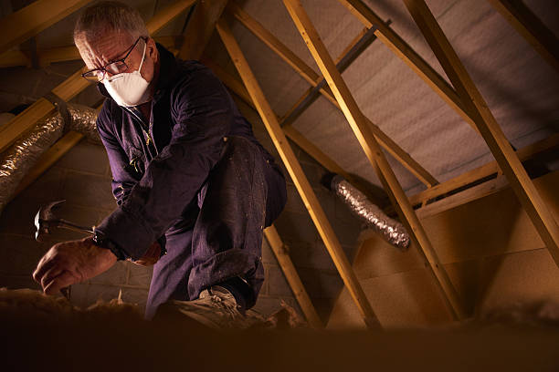 Best Insulation Maintenance and Repair in Watchung, NJ